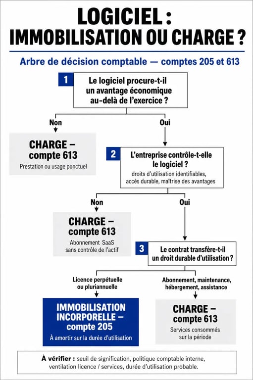 Arbre de décision pour la comptabilisation logiciel : immobilisation ou charge